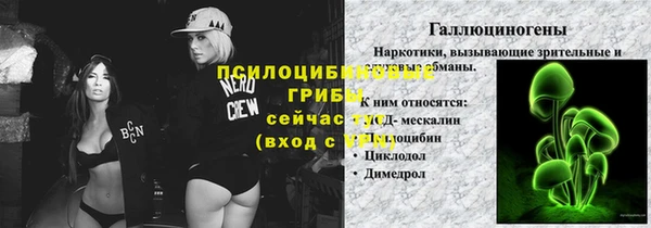 гашик Магадан