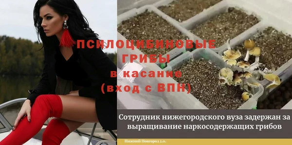 гашик Магадан