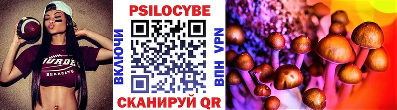 купить цена Жуковка mega ССЫЛКА Псилоцибиновые грибы Psilocybe