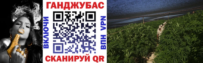 Бошки марихуана планчик  ОМГ ОМГ ТОР  Жуковка 